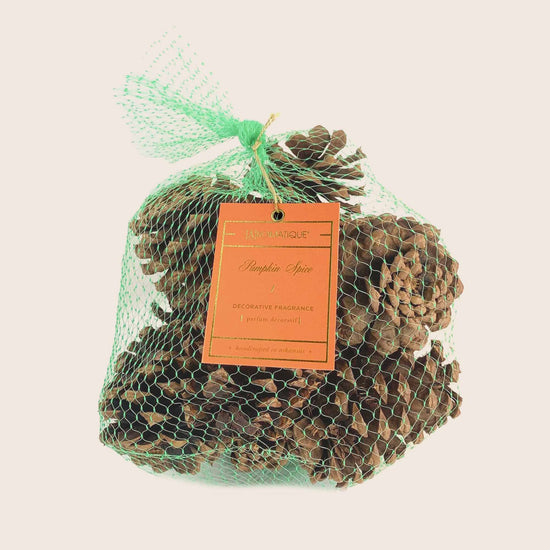 Pumpkin Spice - Pinecone Bag